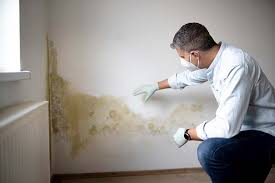 Why You Should Choose Our Mold Remediation Services in Steele Creek, AK